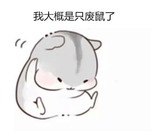  我大概是只废鼠了小仓鼠表情包