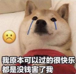  通知再过8天,新乡人又又又要放假但接下来的日子要虐哭你...