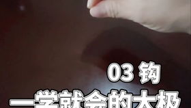  二十四式简化太极拳1315式教学视频
