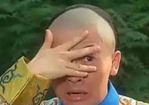苏有朋表情包五阿哥