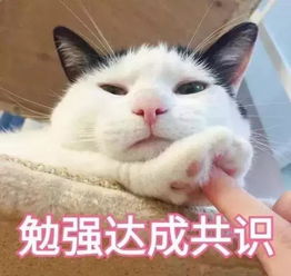  给你发来了一组喵咪表情包,快码