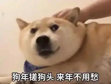 这才是过年震慑七大姑八大姨的的正确打开方式 这才是过年震慑七大姑八大姨的的正确打开方式