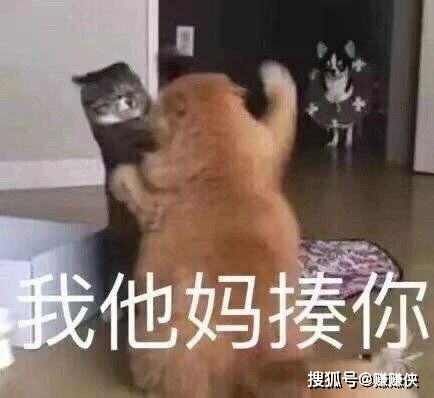 来啊快活啊表情包有什么