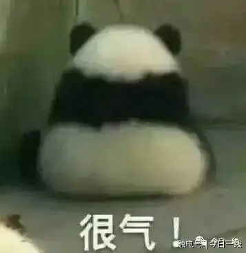 太真实了熊猫表情包懒龙