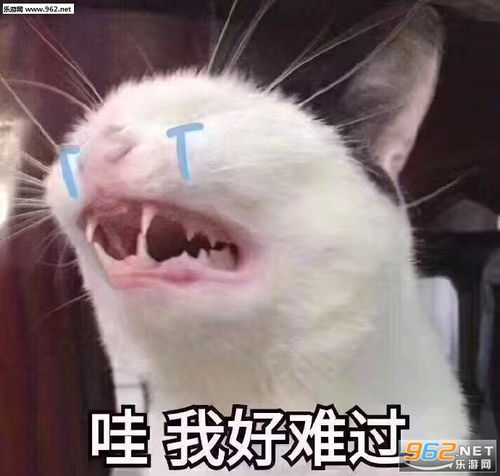  你懂我的意思吧什么梗表情包图片我原本可以过得很快乐是没钱害了我表情包图片下载乐游网游戏下载