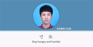  伏击营销究竟有多少企业盯着中国的里约首金