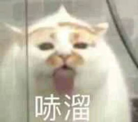  如果你问我人生第一套彩妆怎么选,我的答案是
