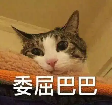 由薛定谔的猫联想到的人类吸猫史 由薛定谔的猫联想到的人类吸猫史