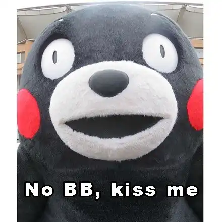 熊本熊表情包下载熊本熊gif微信qq表情包 熊本熊表情包下载熊本熊gif微信qq表情包