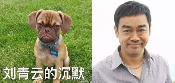 林永健牛头梗表情包画眉