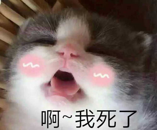  用表情包聊天的背后,究竟是一种怎样的心态