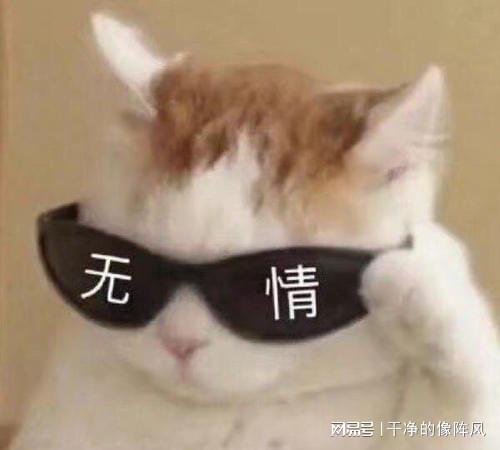  情感故事你想死就死远一点,别死在家里离婚离异二婚李梅网易订阅