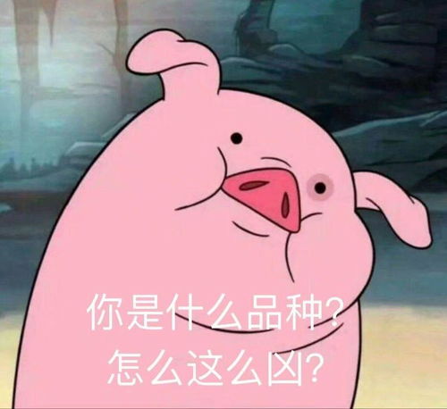 安慰奖表情包图片种草莓