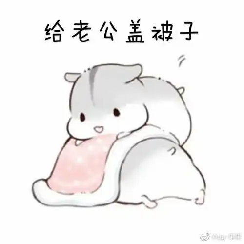 仓鼠表情包送老公一颗星piu 仓鼠表情包送老公一颗星piu