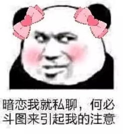  不要发表情包了,我要听语音