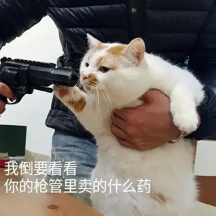 梦见稻田偷鳝鱼和泥鳅 梦见稻田偷鳝鱼和泥鳅