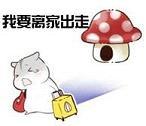  仓鼠夫妻