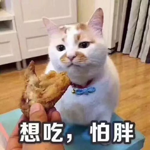  表情包俗话说得好,三月不减肥,四月的炸鸡都不香了
