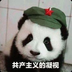  有这种熊猫的表情包吗