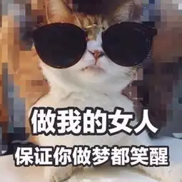 做大哥的女人吗. 做大哥的女人吗.