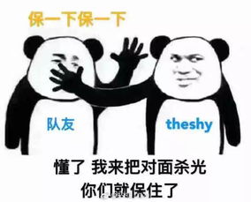  又一波表情包来袭