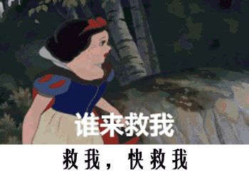  这些诸暨人,你老了