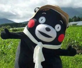  走过20多年的解放路,这些景致要整容了