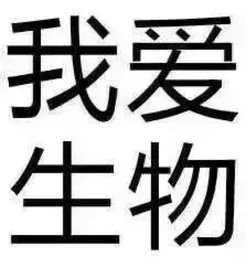  高考结束这几首歌短期内别让我听到......