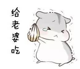  仓鼠表情包,老公老婆都有哦