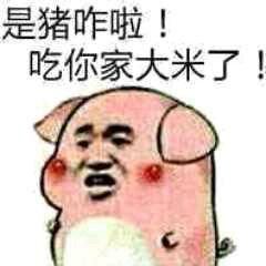  幽默段子老婆来电,说她电动车被扣了,让我去接她