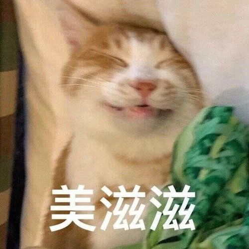  表情包美滋滋