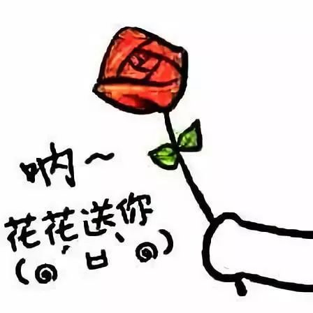 欺负你表情包动图玫瑰花