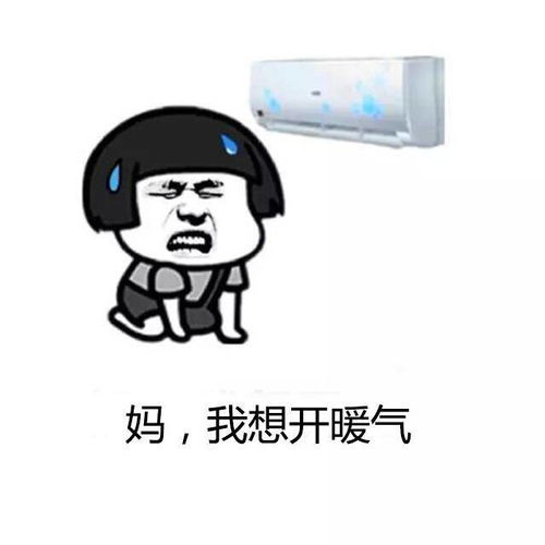  韩国人家全屋供暖,冬天直接在地上睡觉,网友明明就是东北大炕