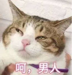 套路男朋友的套路表情包