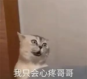  一样东西火不火,看它有没有梗图就知道了