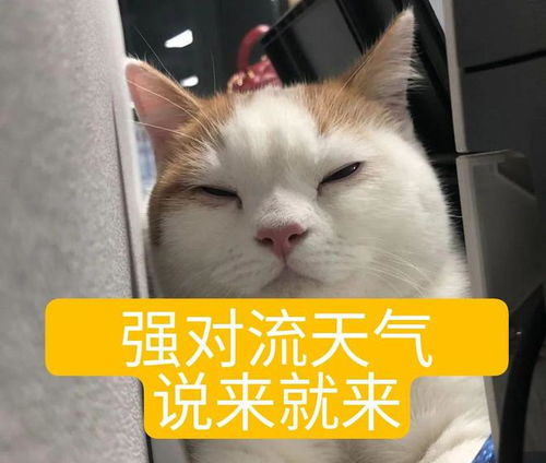  梧州气温刚冲上30,降温包又来了,还将有较强降雨