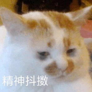 直播自曝涉黄这百万粉网红被全网封杀 直播自曝涉黄这百万粉网红被全网封杀