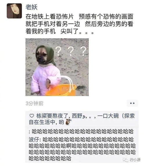  不小心发错表情包到家长群之后,我哭的像个孩子.....哈哈哈哈哈