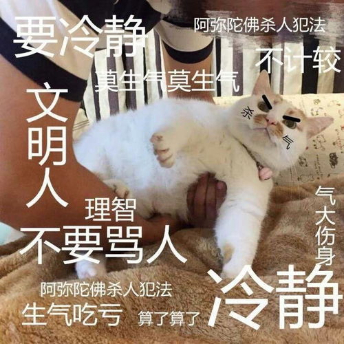  脑洞大开