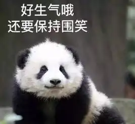 梧桐雨杨柳絮是谁送你来到我身边 梧桐雨杨柳絮是谁送你来到我身边