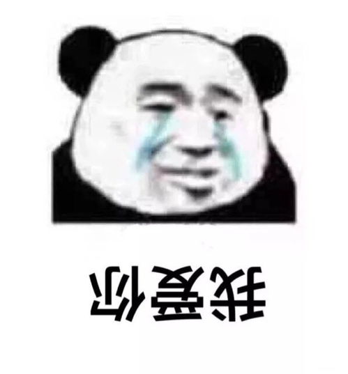  你这表情包不行啊