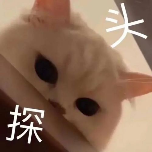  广州将迎来一个全新的旅游景区国家5a级