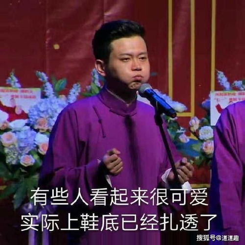  表情包系列第八期30张德云社搞笑图片
