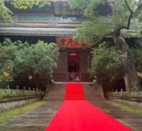  巴沙尔现身灵隐寺,主持全程用英文交流被骂,身侧保镖表情超放松