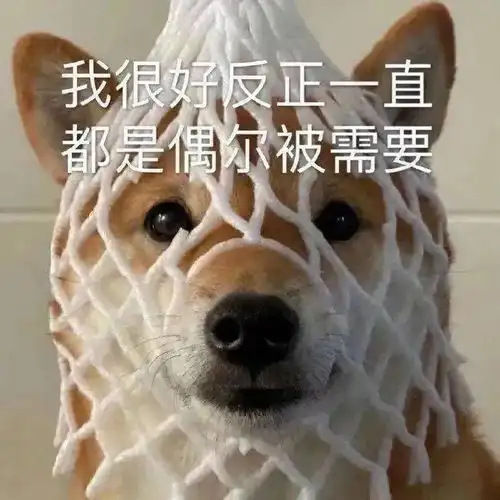 今日表情包,26 今日表情包,26