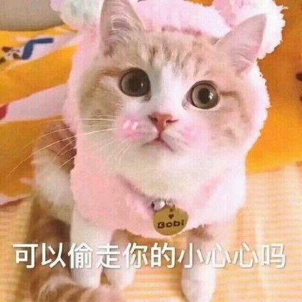  11个来自同性的小温暖,女人不总为难女人