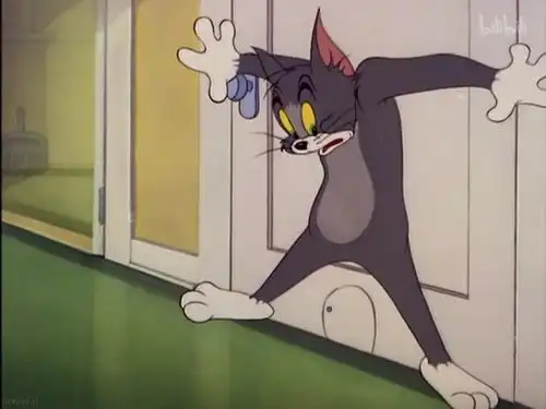 哔哩哔哩专栏 哔哩哔哩专栏