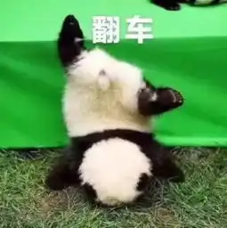 今年暴跌20这只纯债券基金翻车了 今年暴跌20这只纯债券基金翻车了