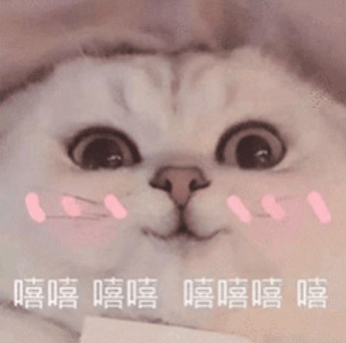  土味发夹火了这2块钱的发饰,女明星都爱惨了
