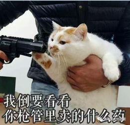  社联福利松鼠,口红和脱单,你选哪个